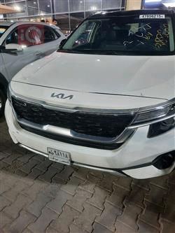 کیا سێلتۆس